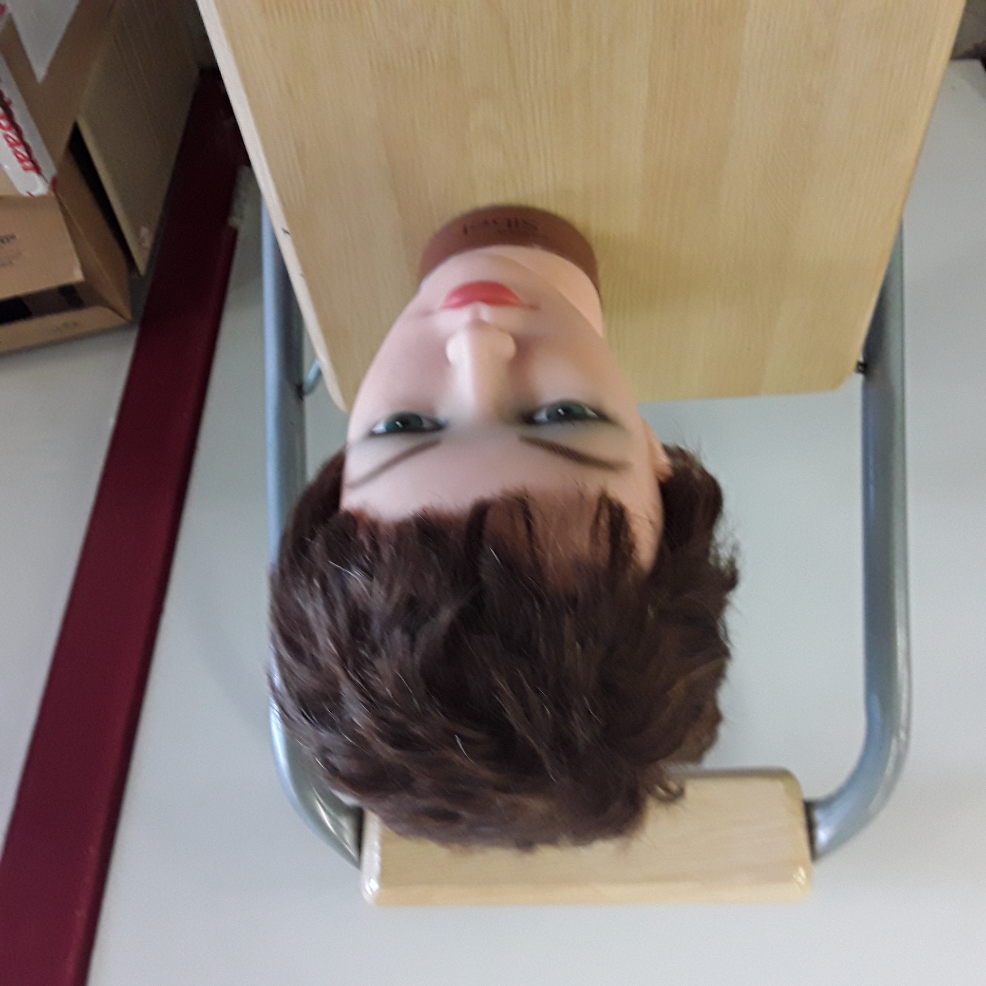 <p>Tête de coiffure <br />16,00 € T.T.C<br /><a href="/Article/122686?type=depose" style="color:white;" target="_blank">Lien vers l&#39;article</a></p>